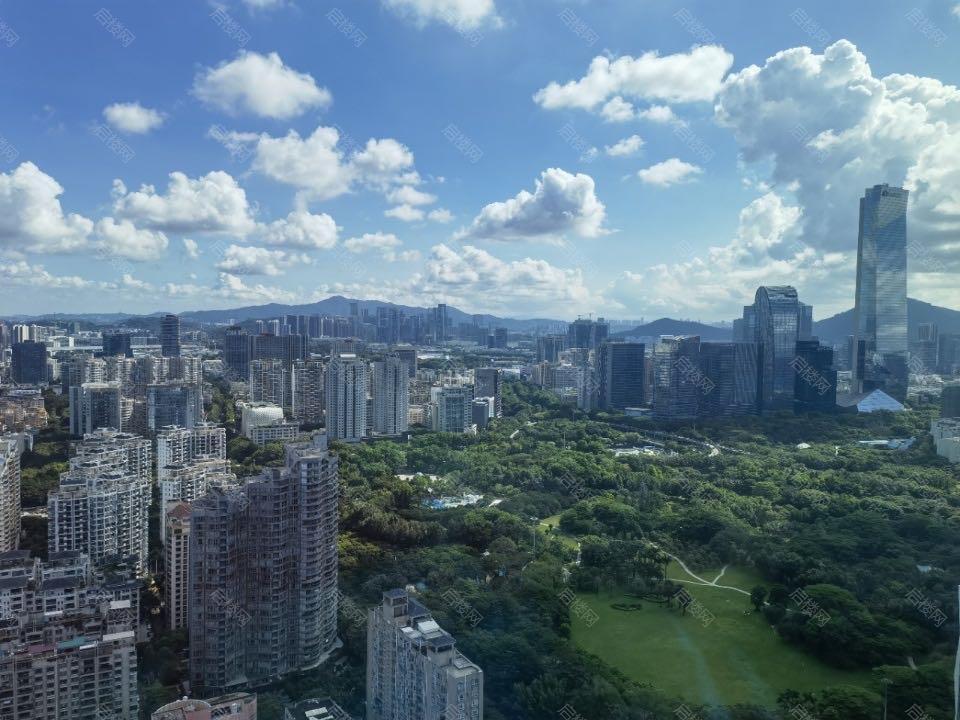 实拍图