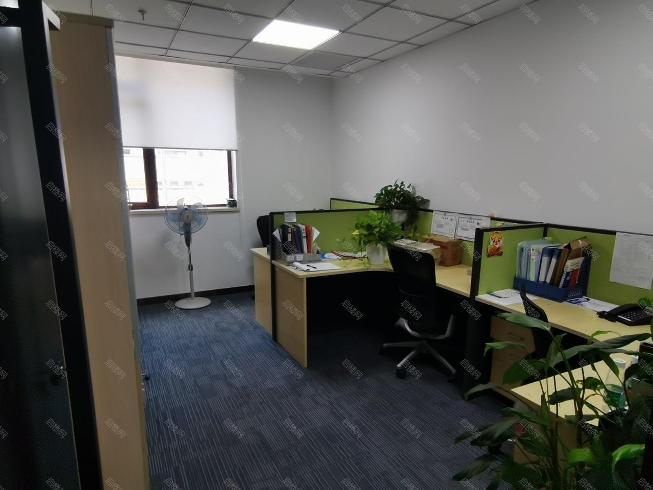 实拍图