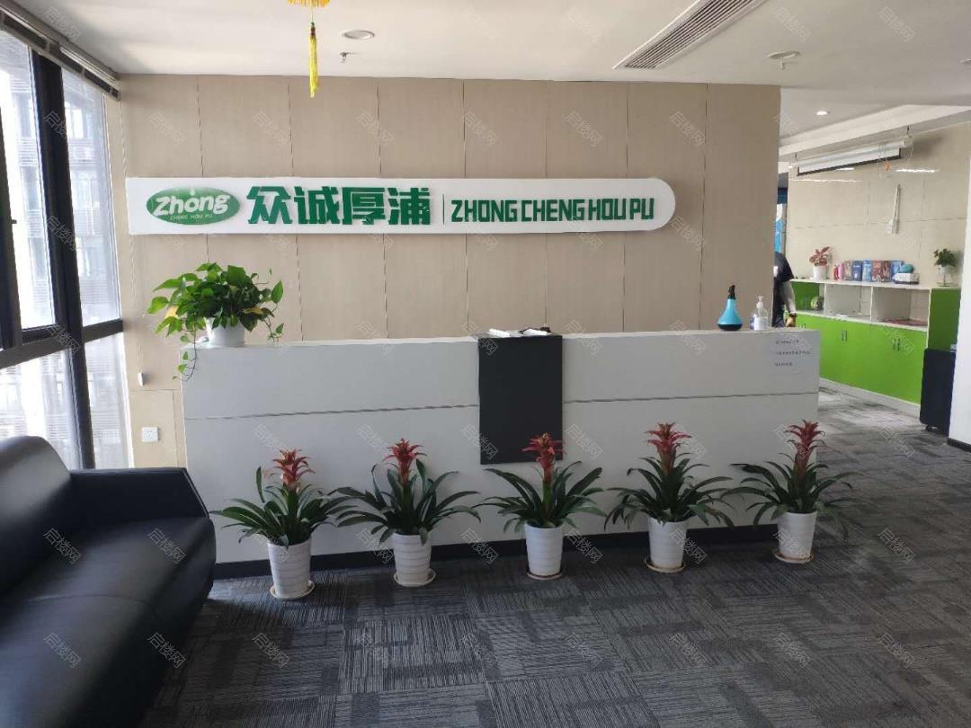 实拍图