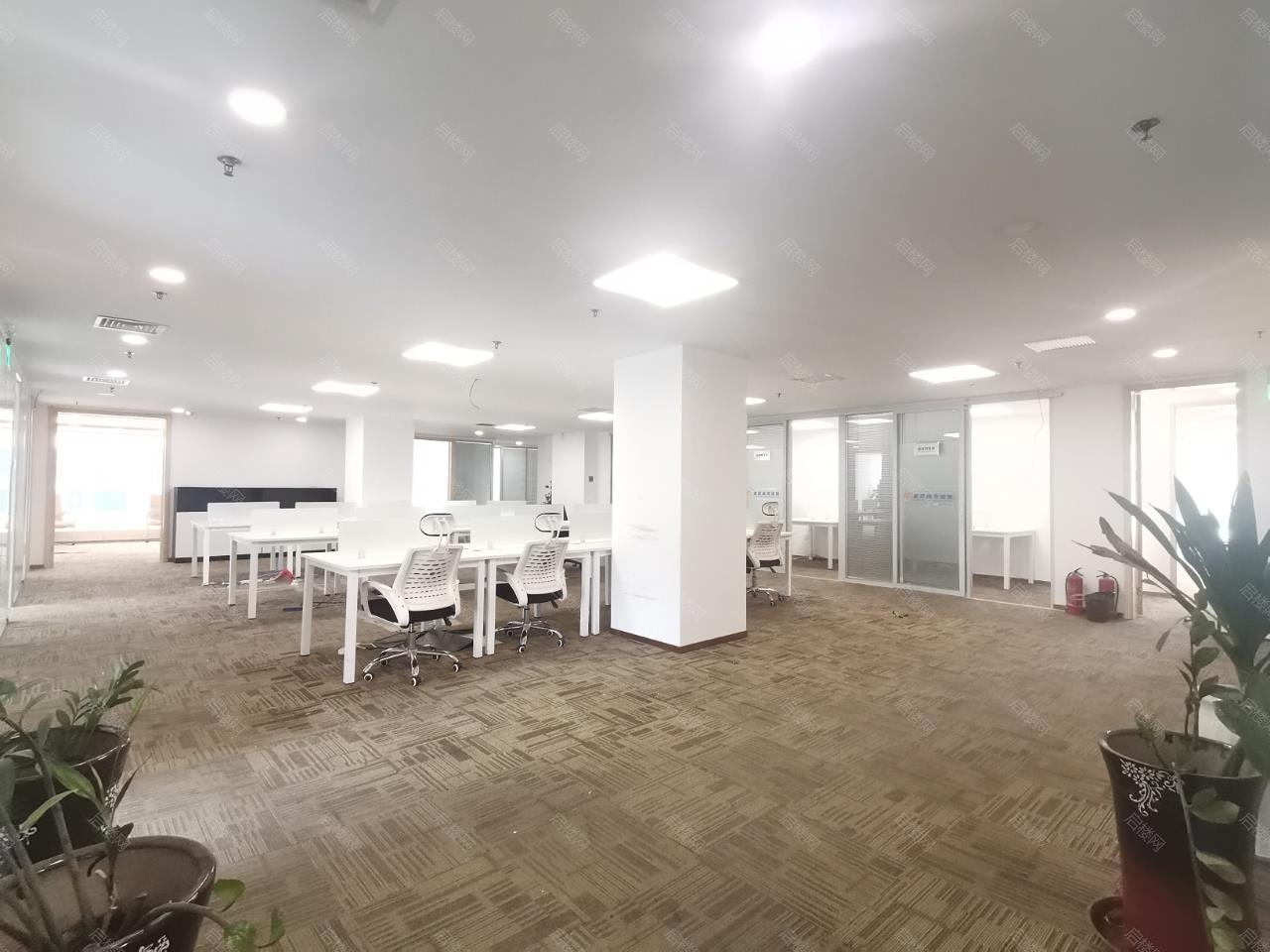 实拍图