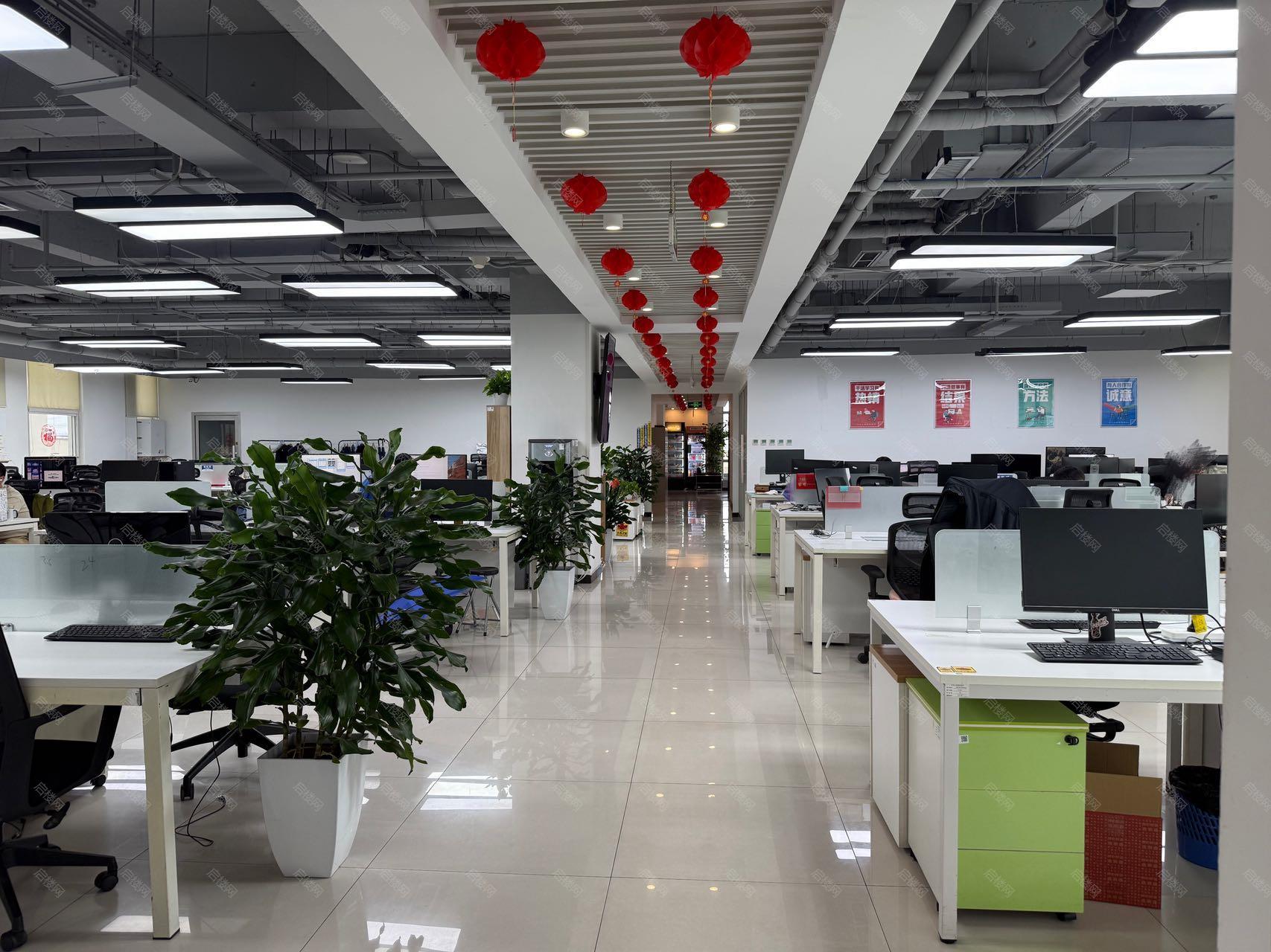 实拍图