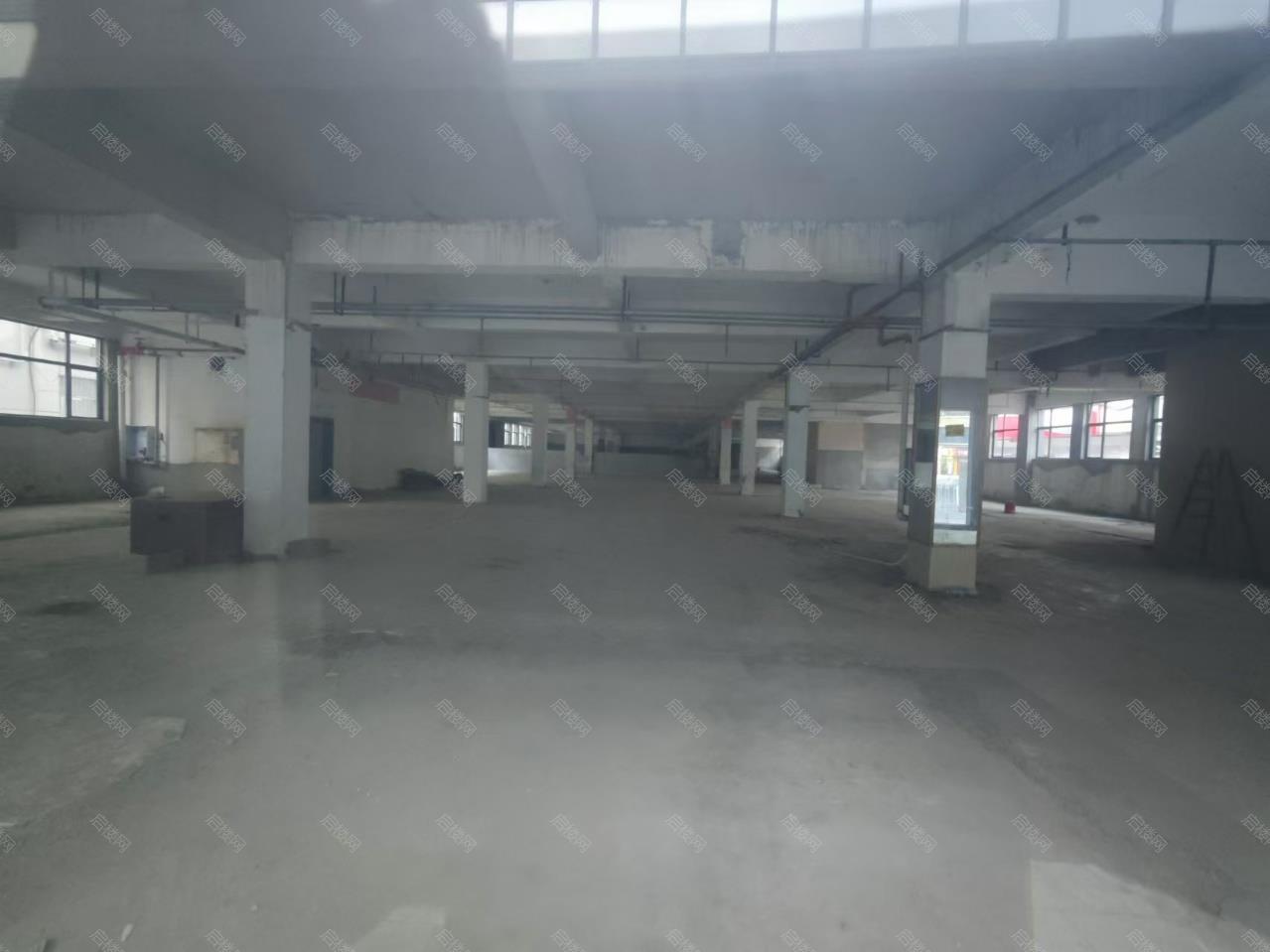 实拍图