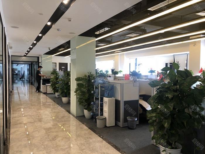 实拍图