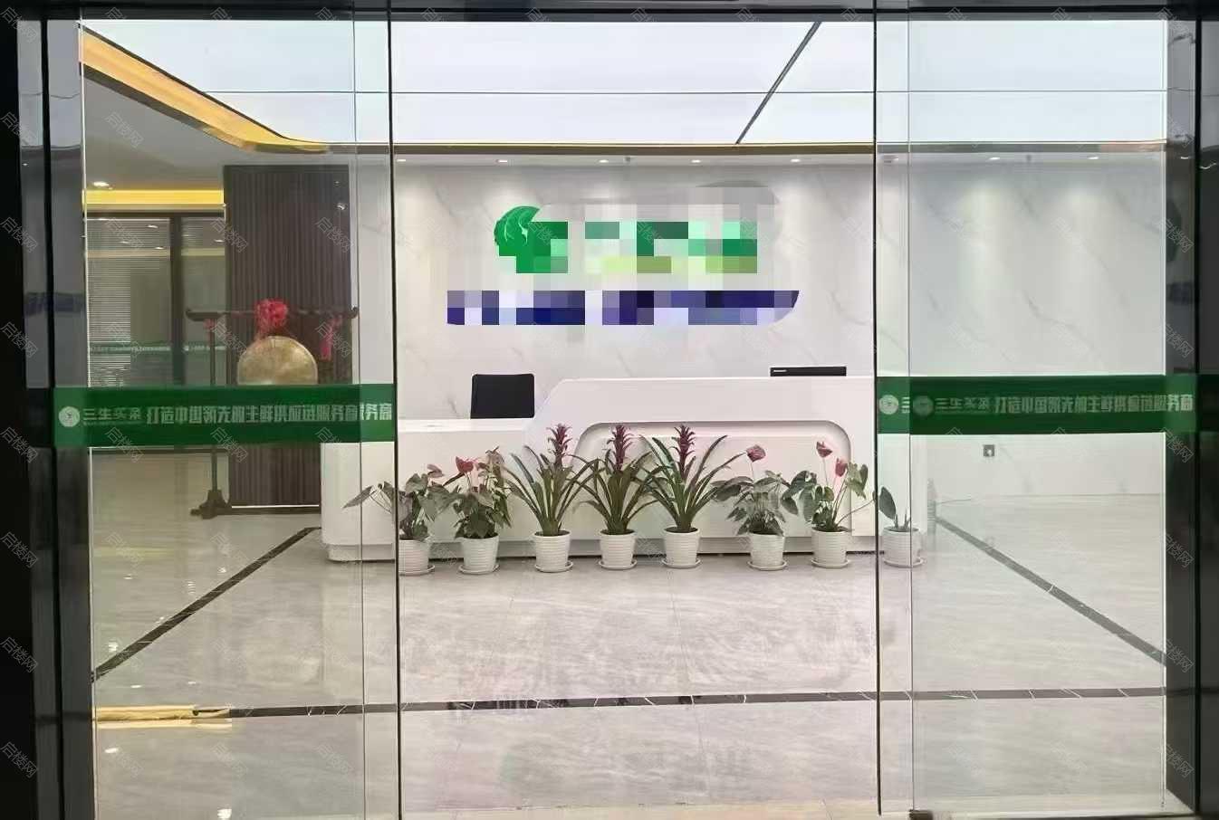 实拍图