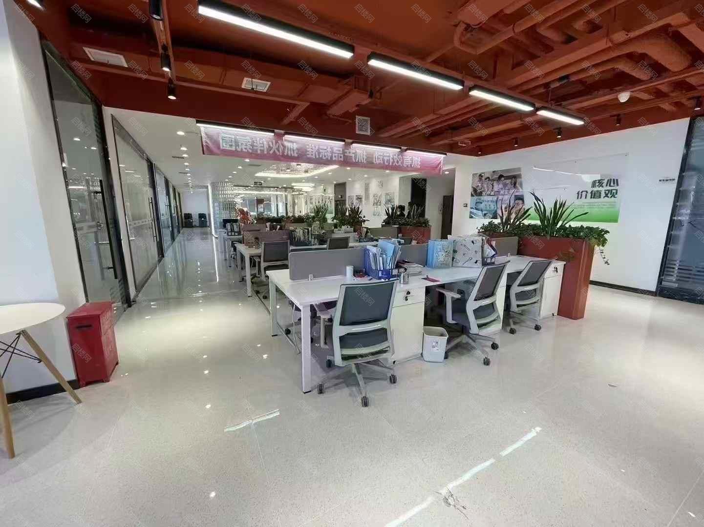 实拍图