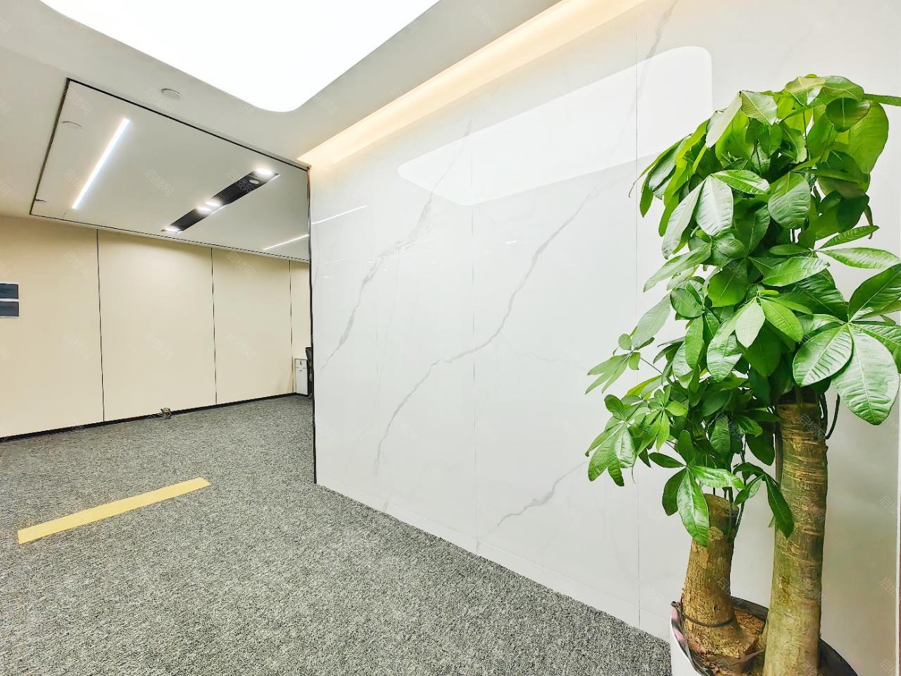 实拍图