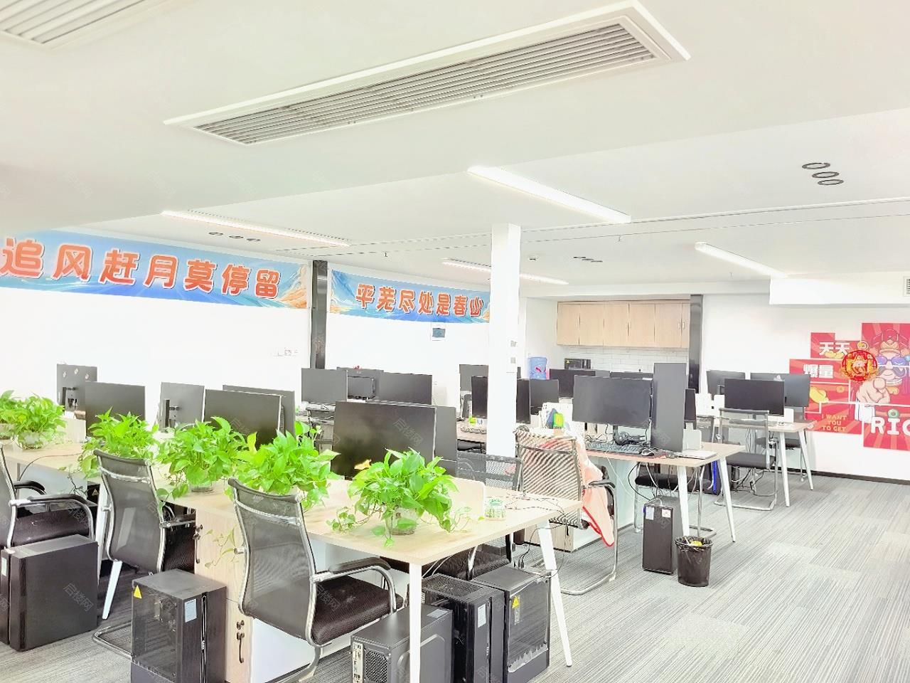 实拍图