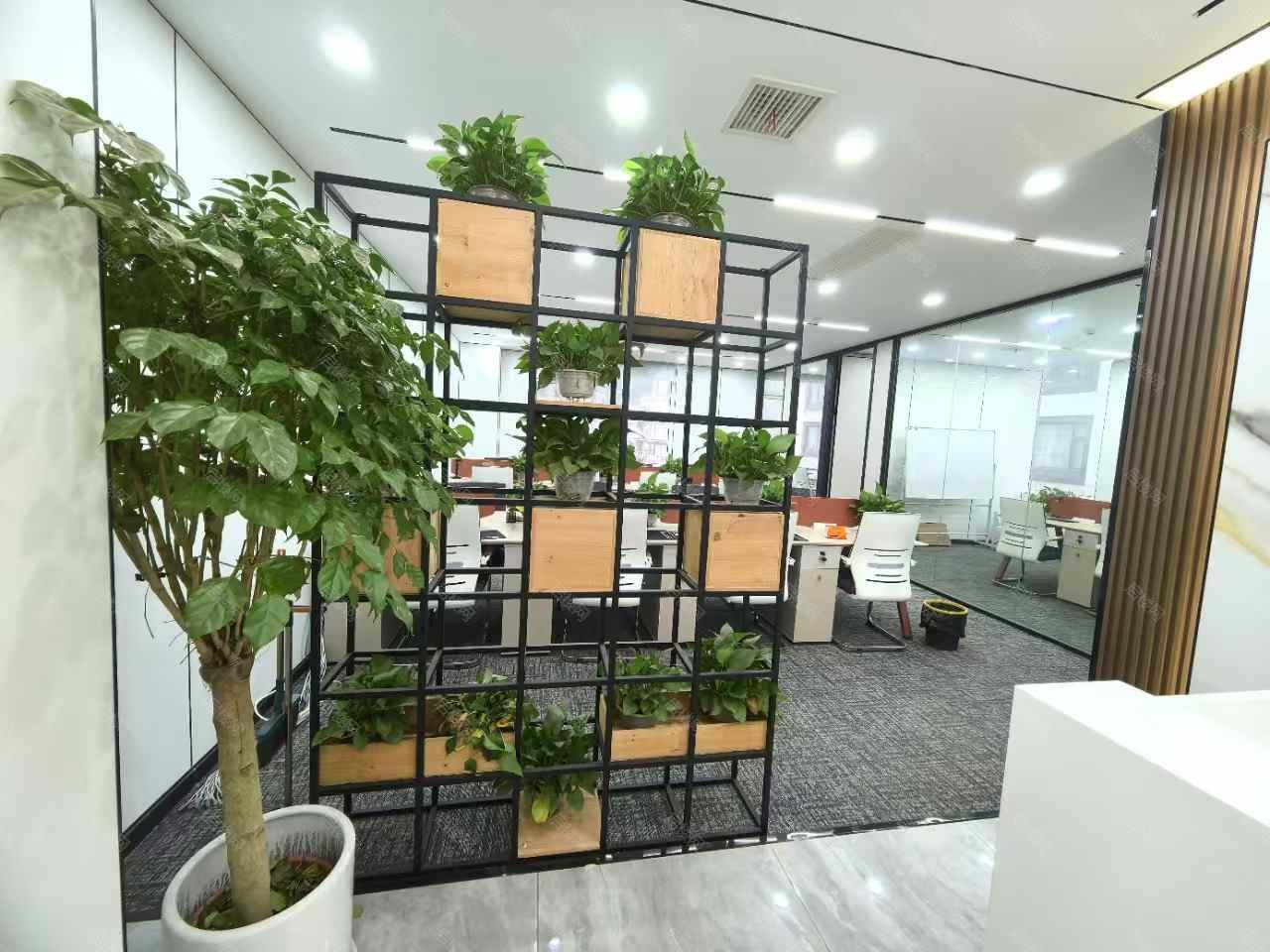 实拍图