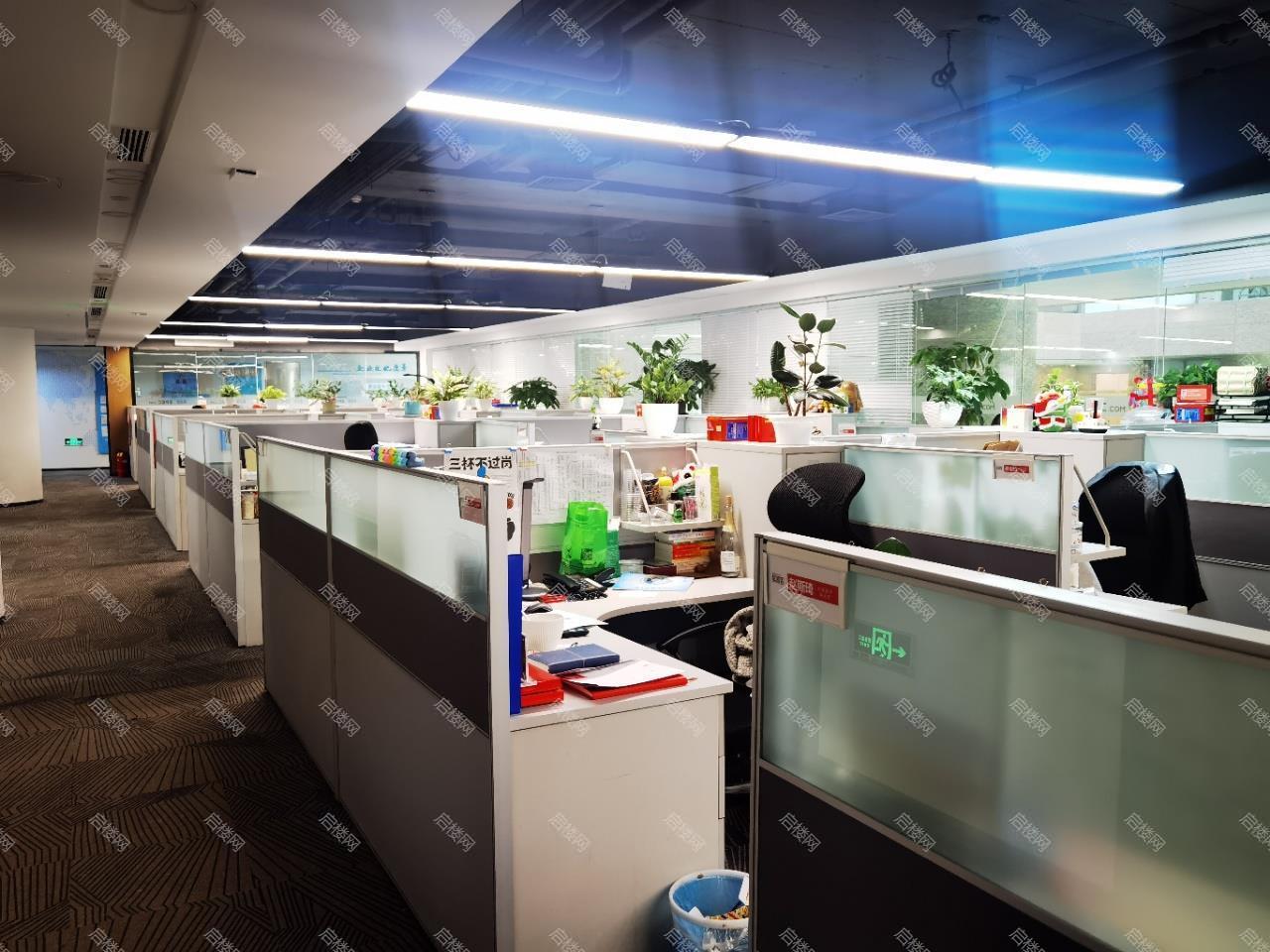 实拍图