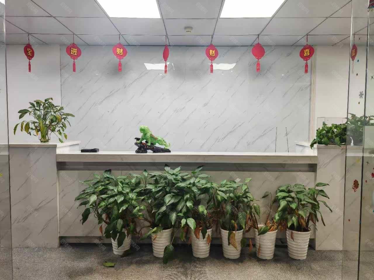 实拍图