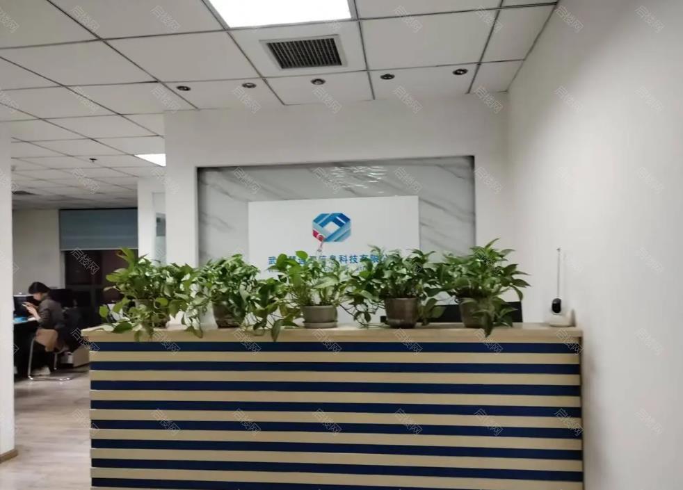 实拍图