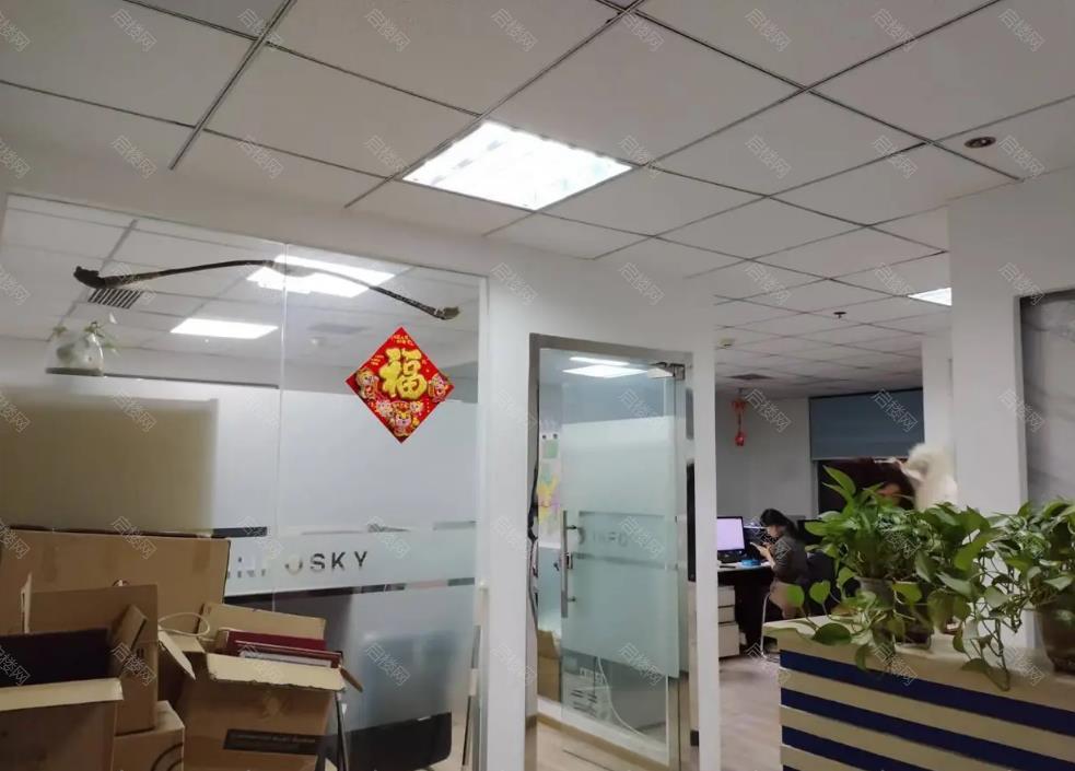 实拍图