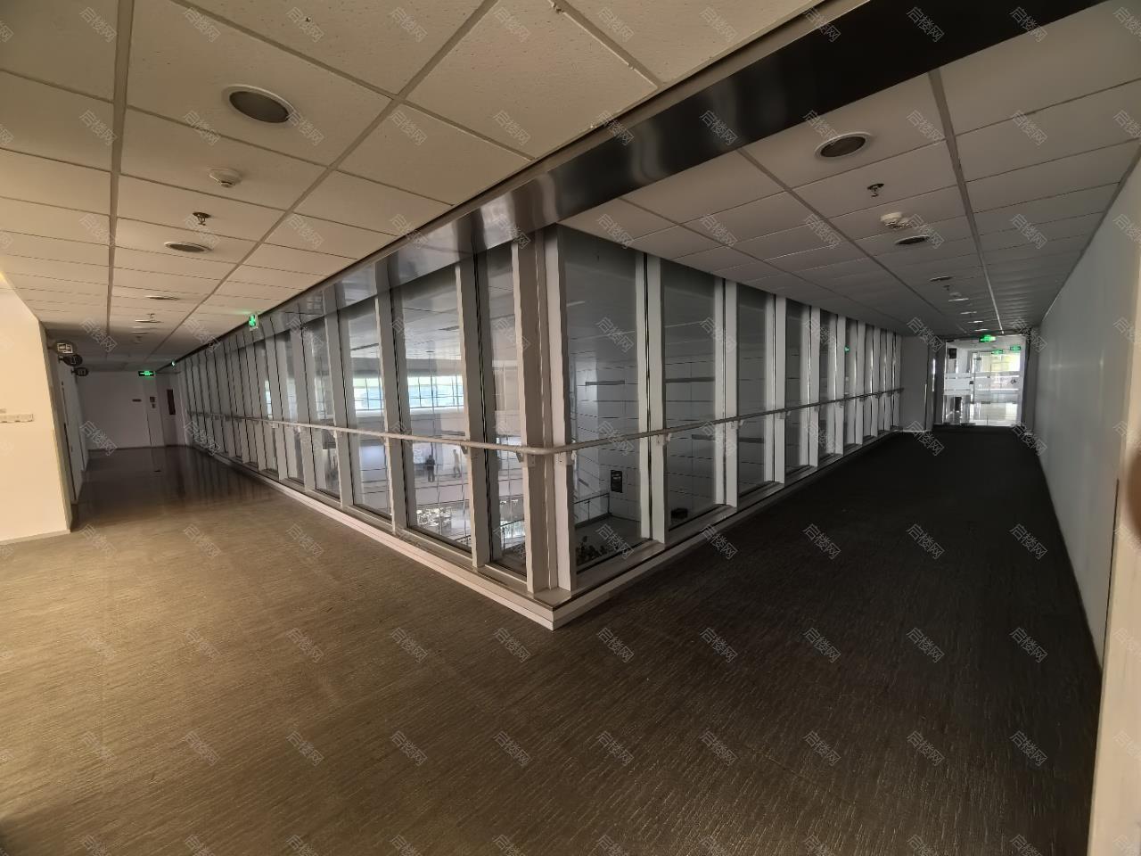 实拍图
