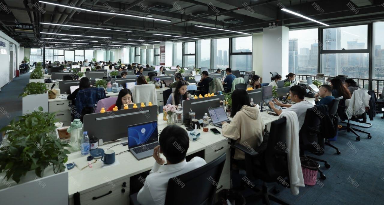 实拍图