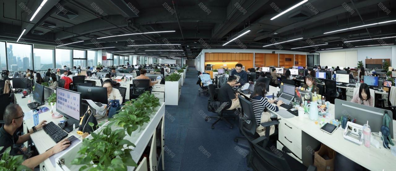 实拍图