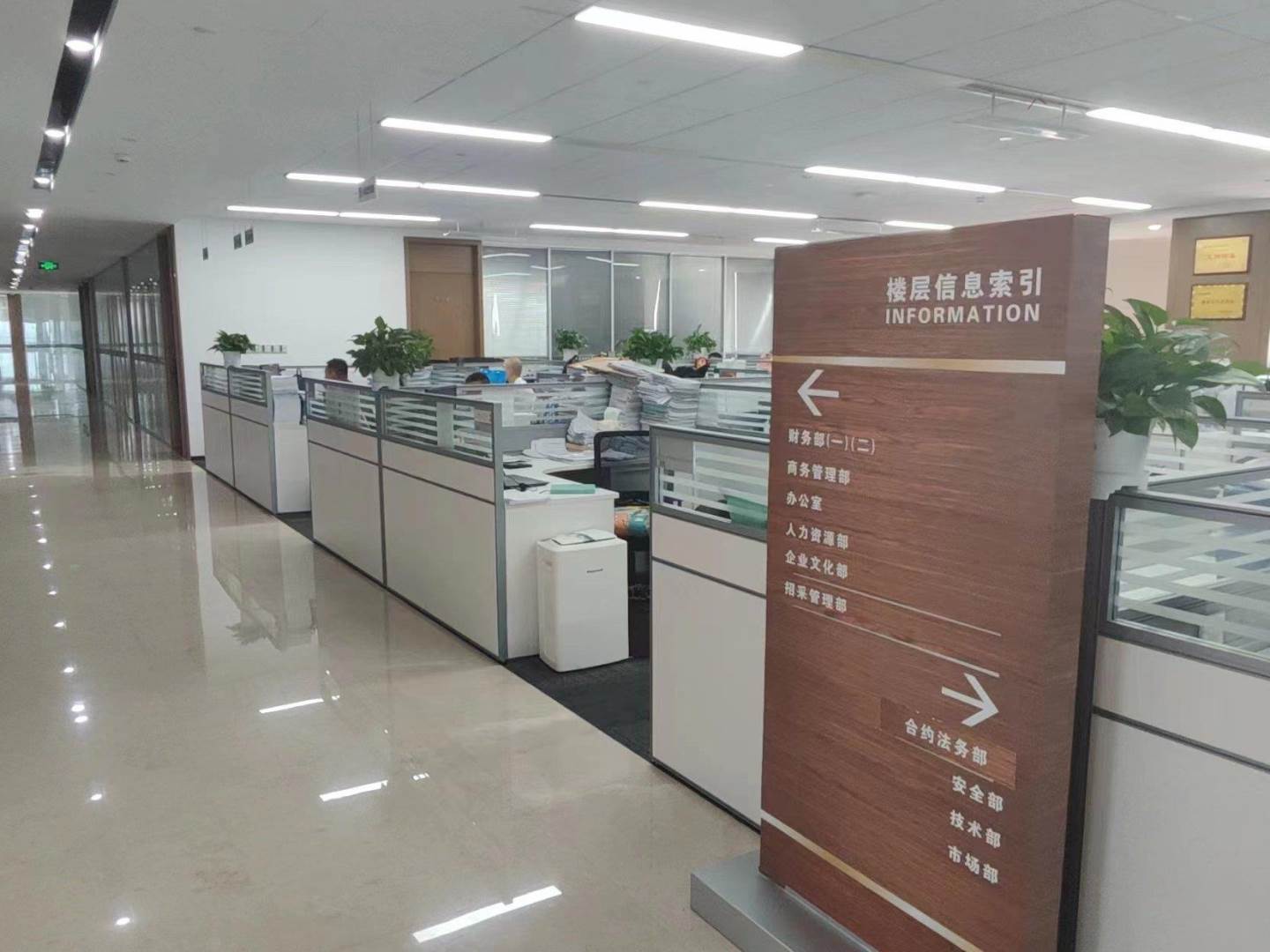 实拍图