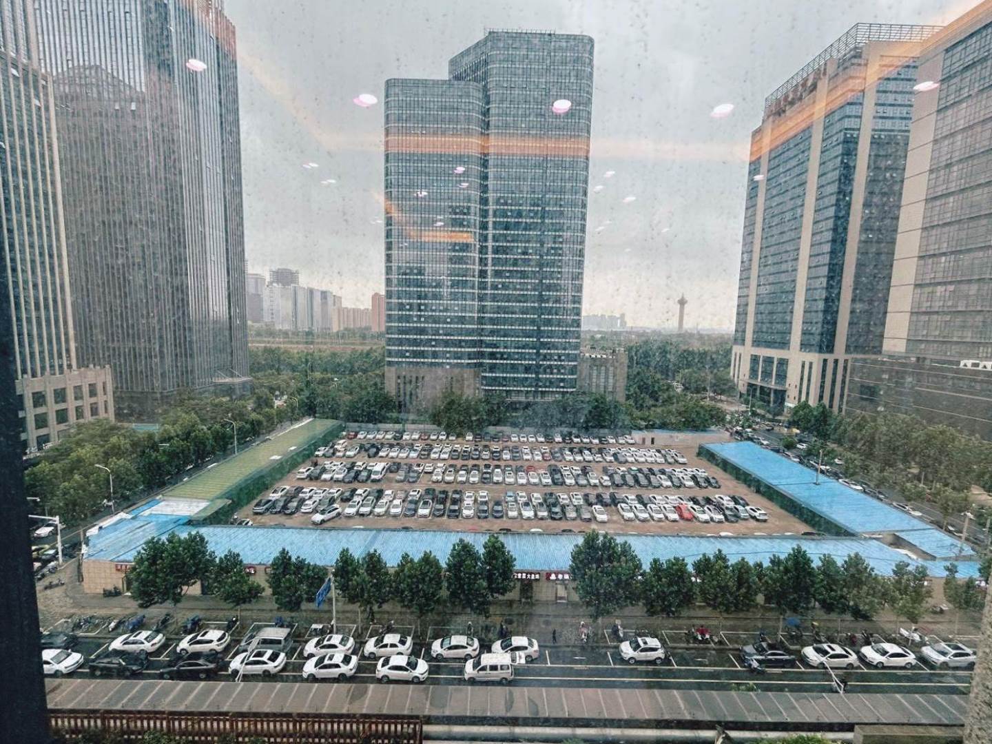 实拍图