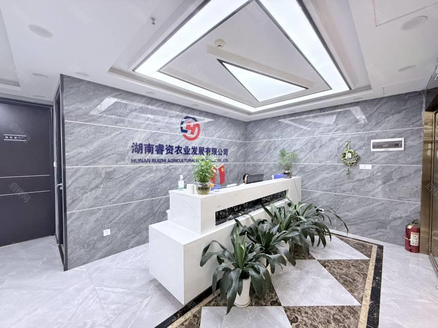 实拍图