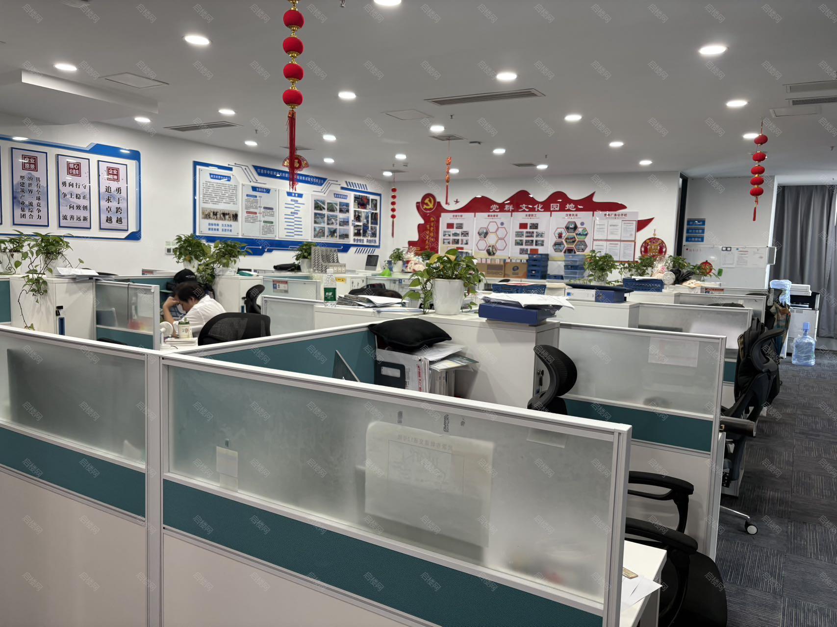 实拍图