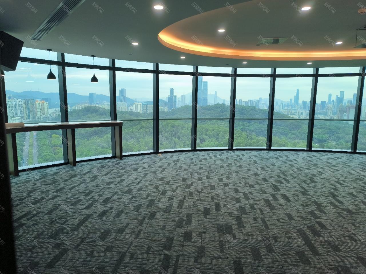 实拍图