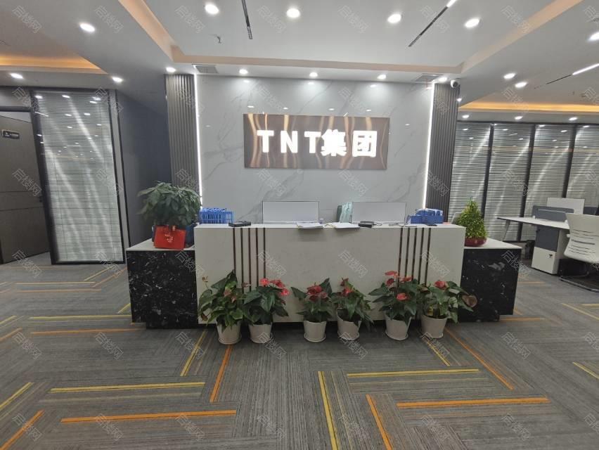 实拍图
