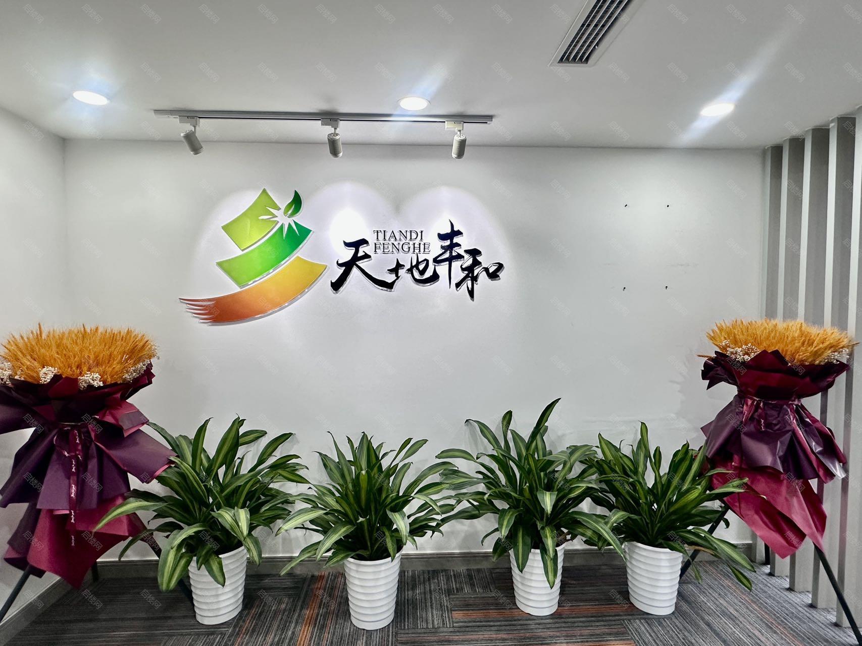 实拍图