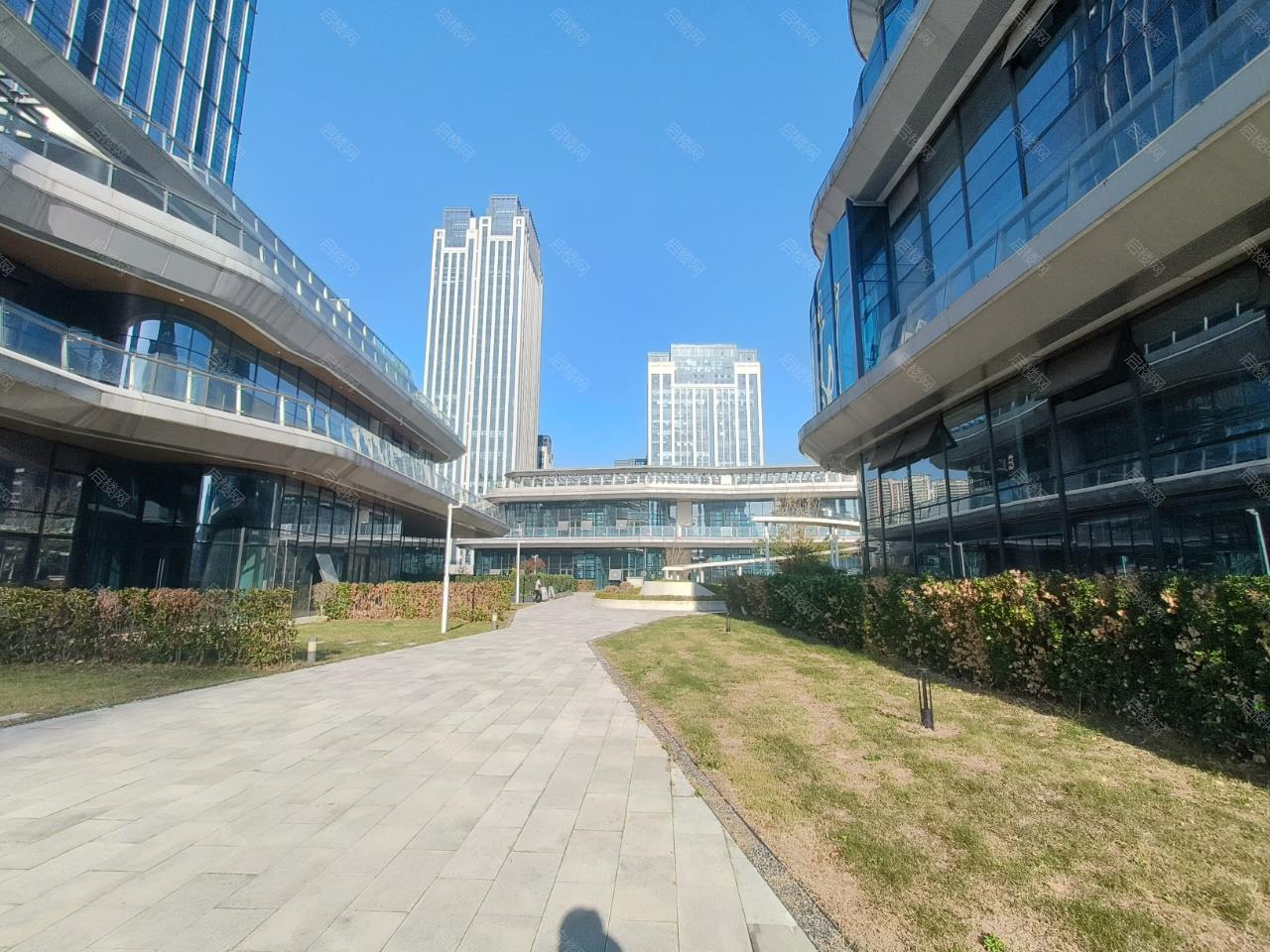 实拍图