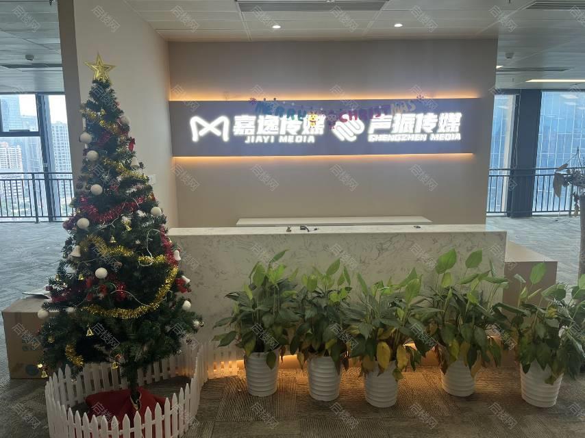 实拍图