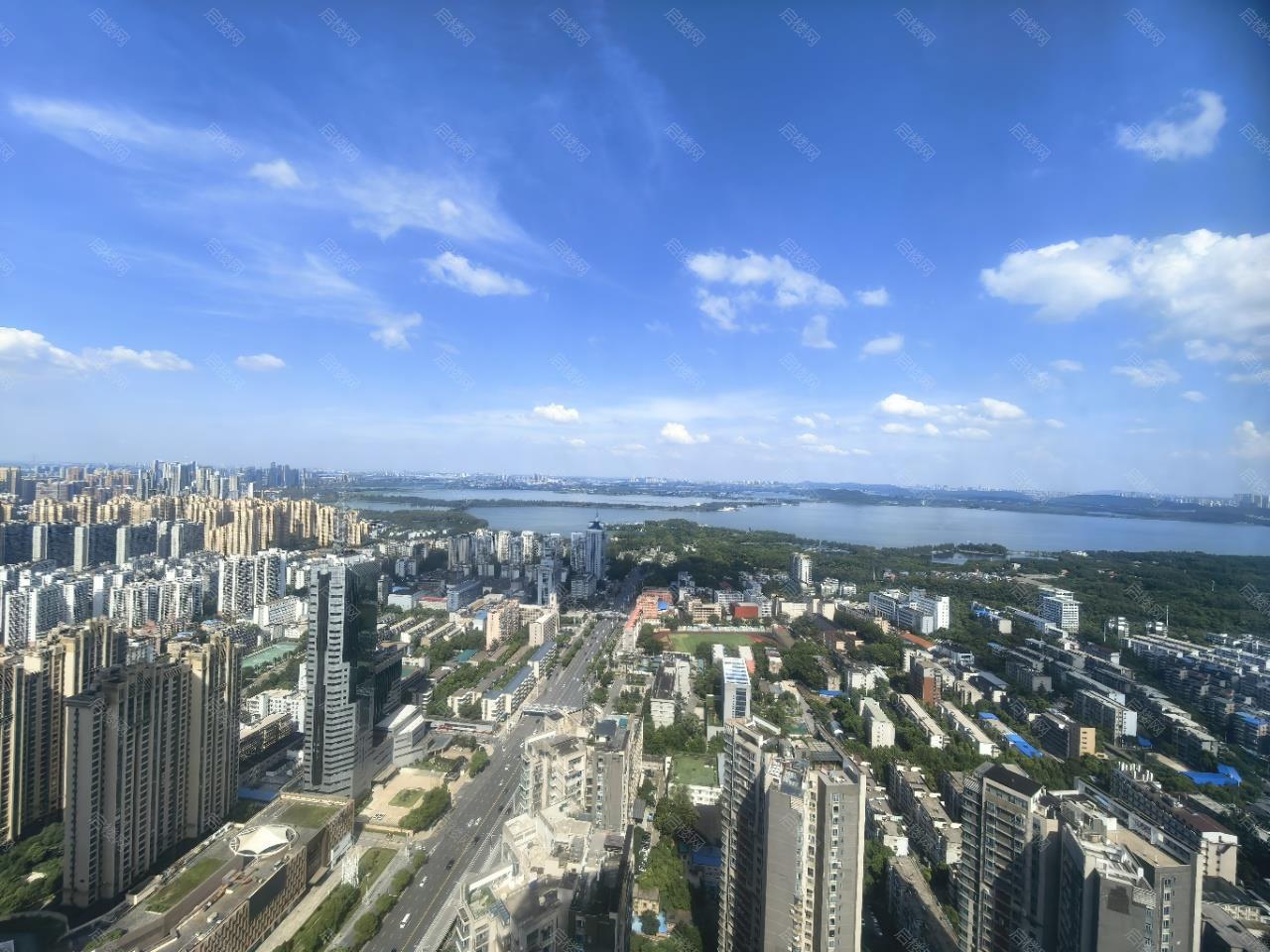 实拍图