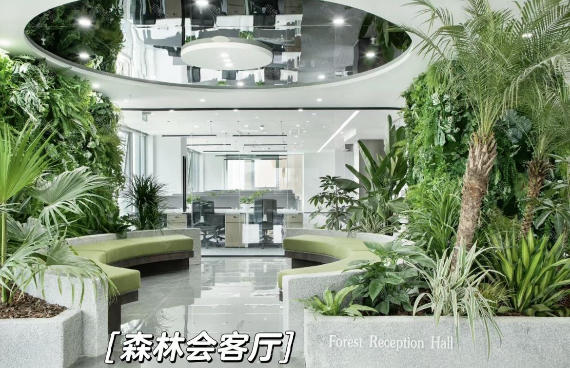 实拍图