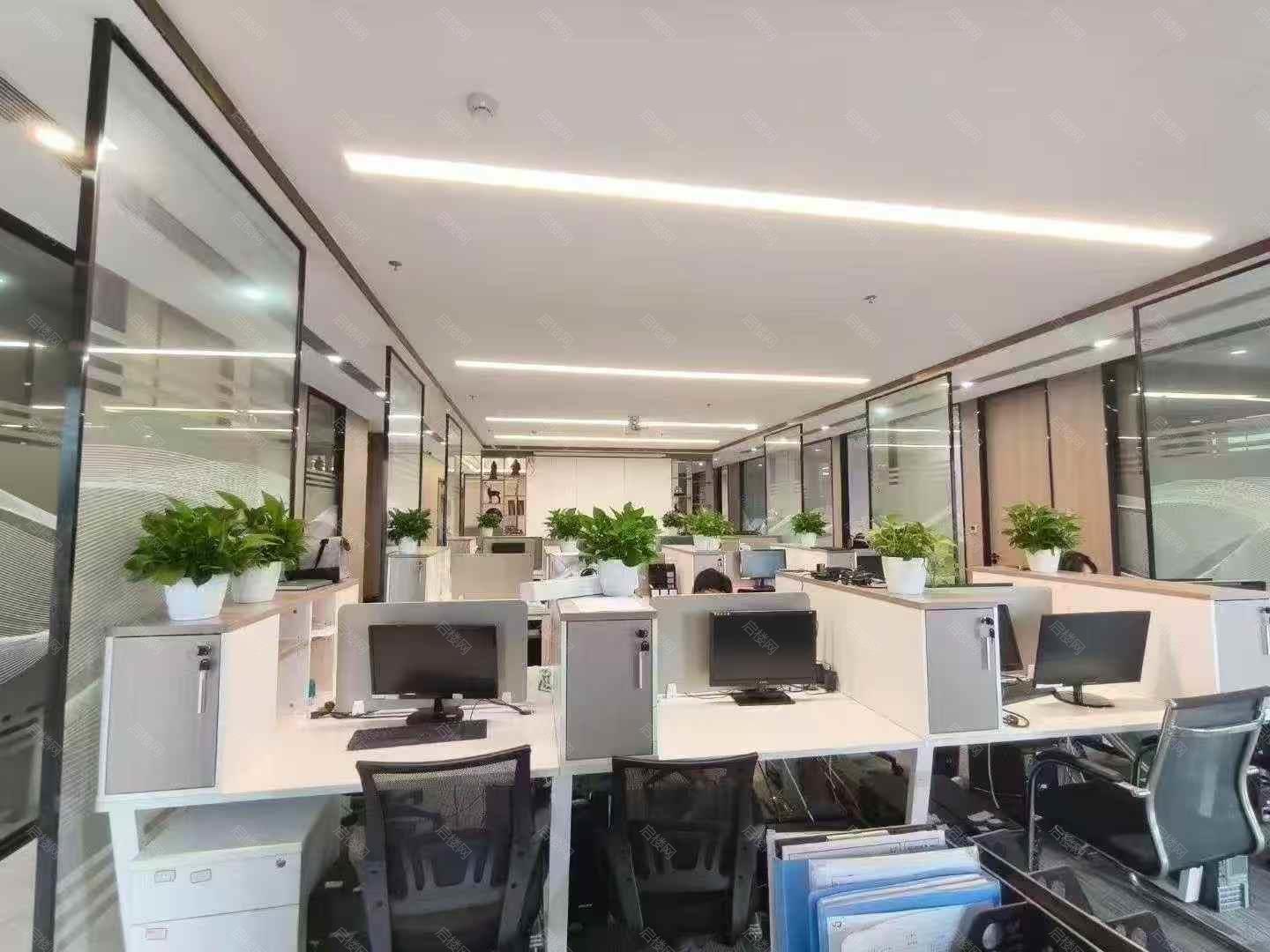 实拍图