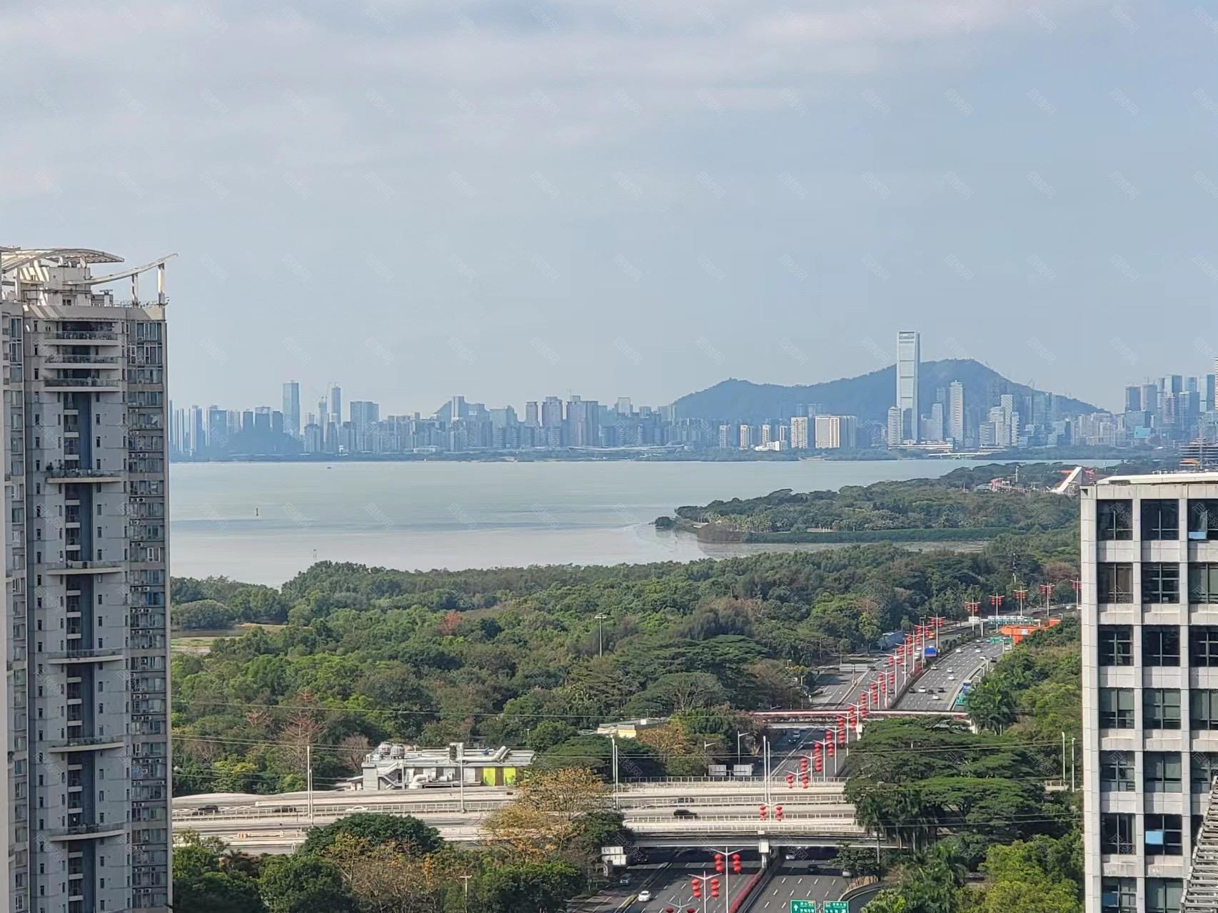 实拍图