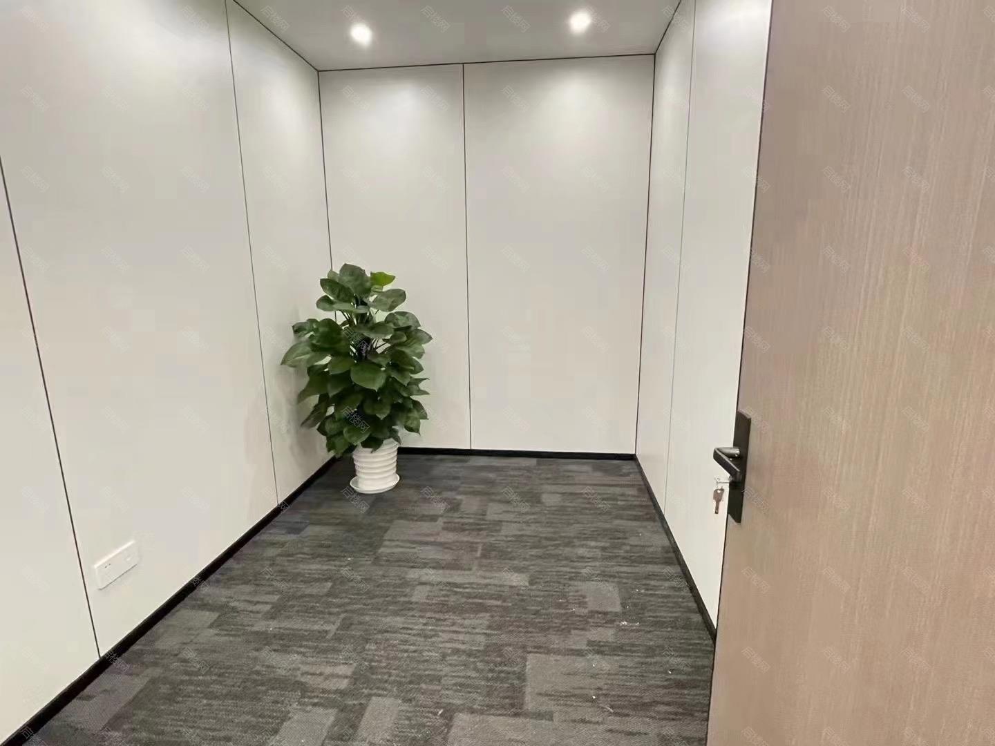 实拍图
