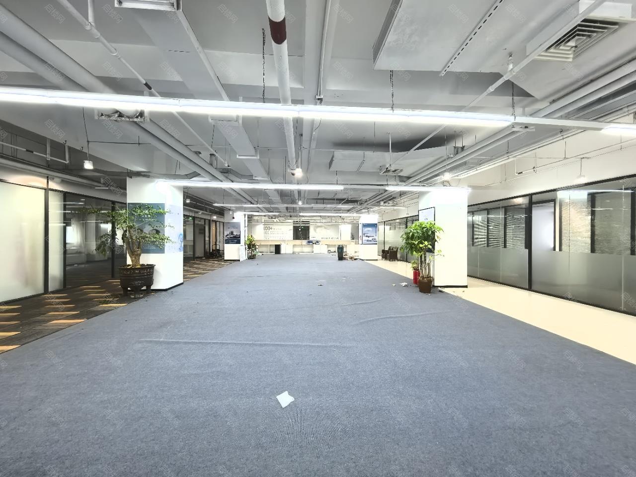 实拍图