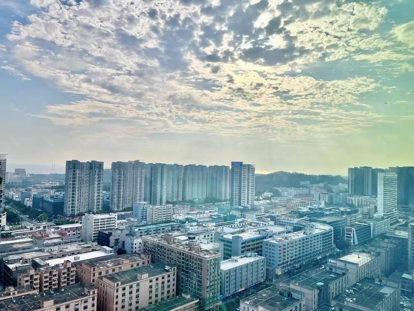 实拍图