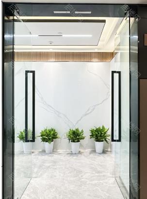 实拍图