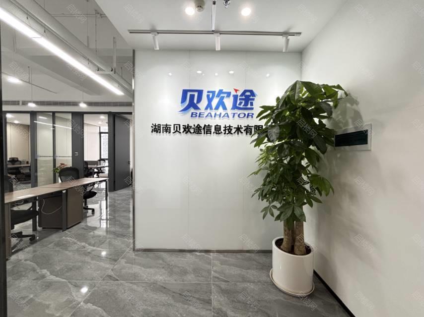 实拍图