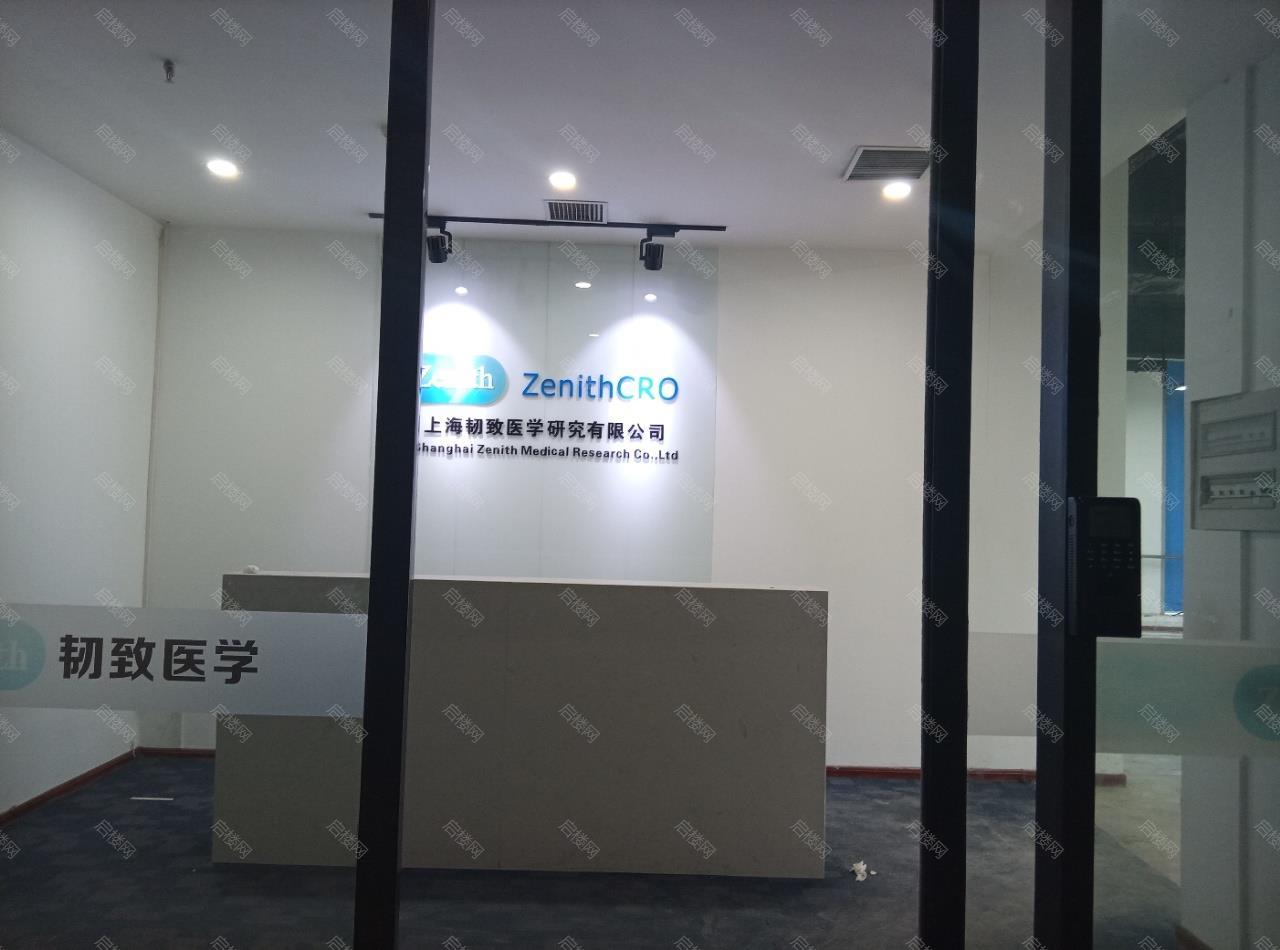 实拍图