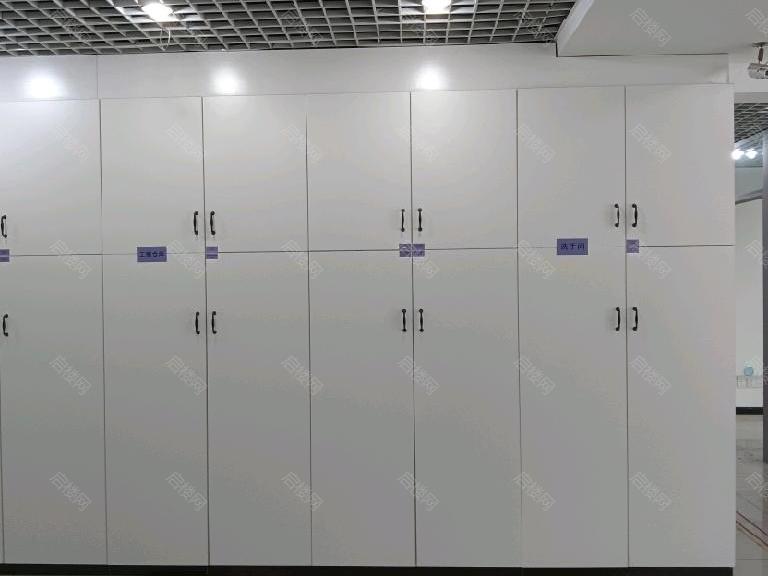 实拍图