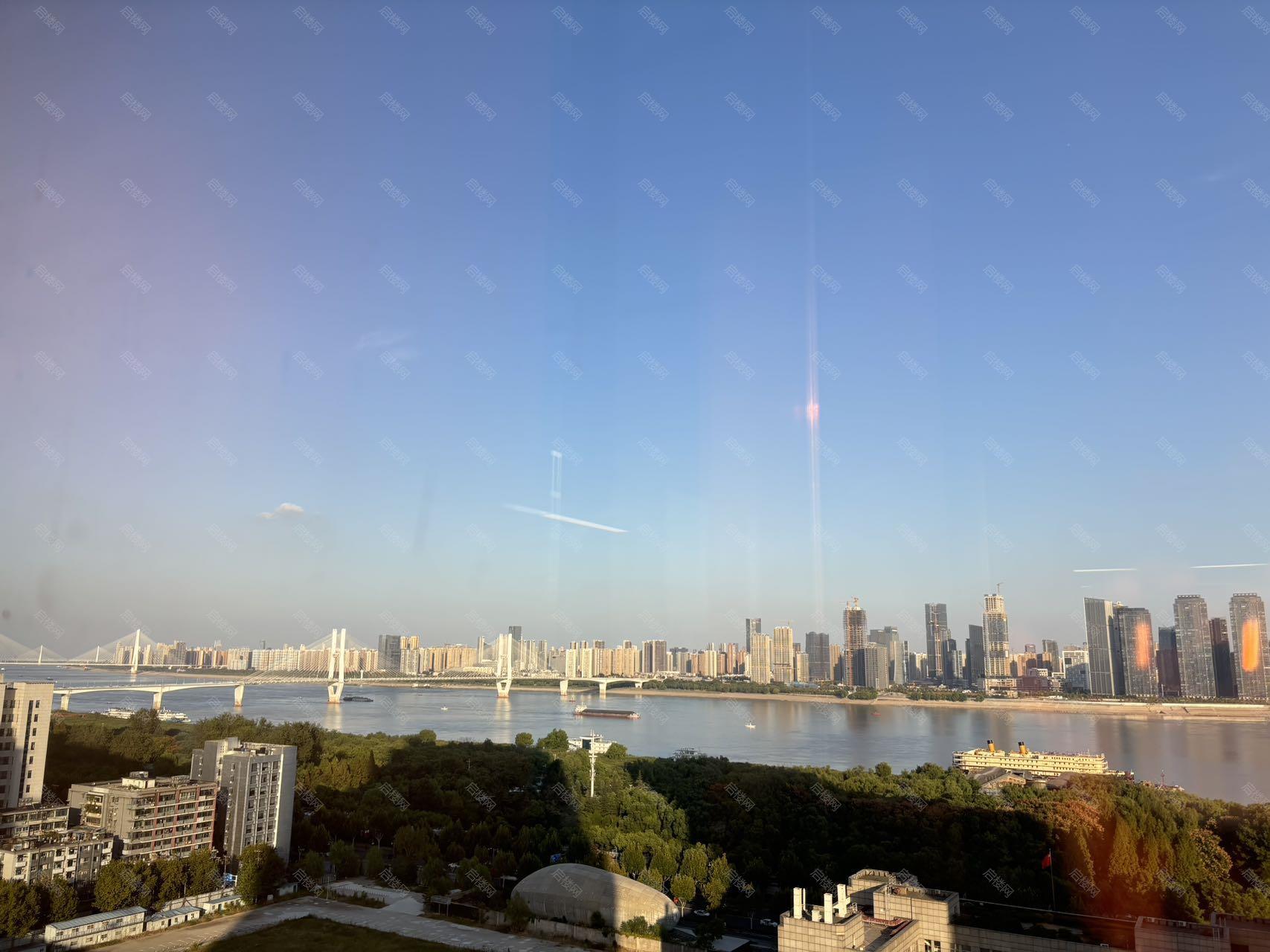 实拍图