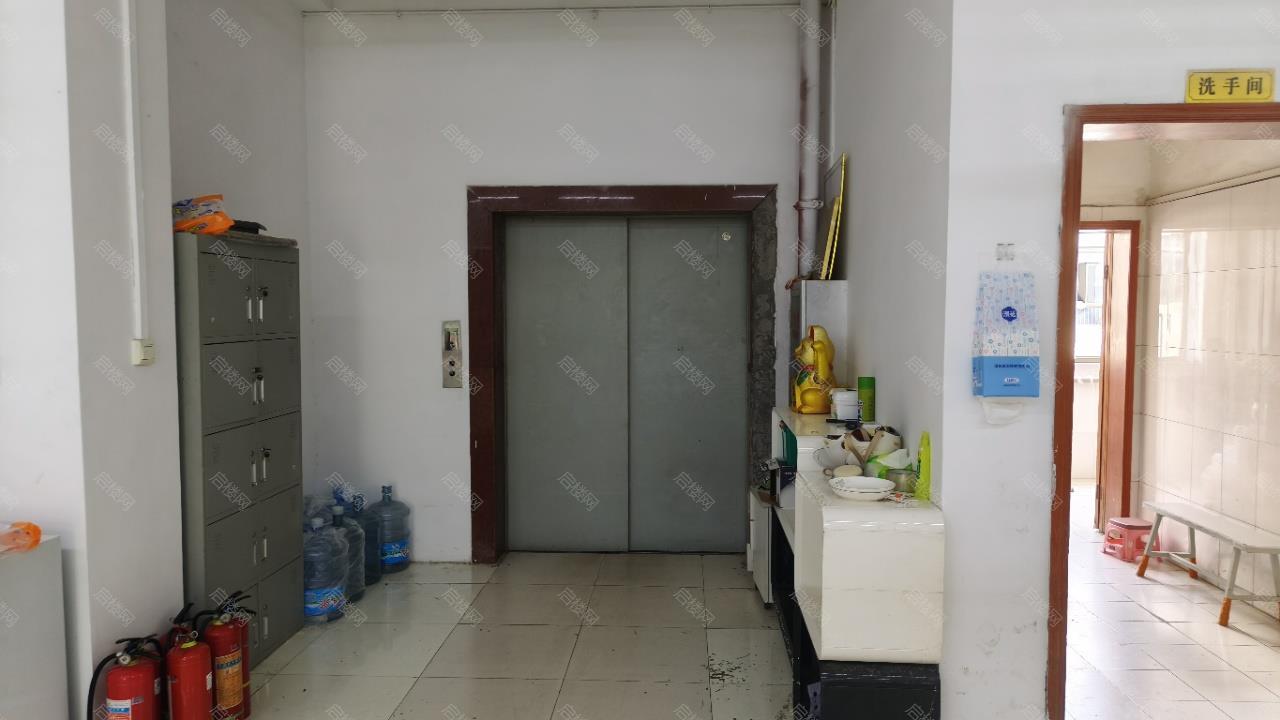 实拍图