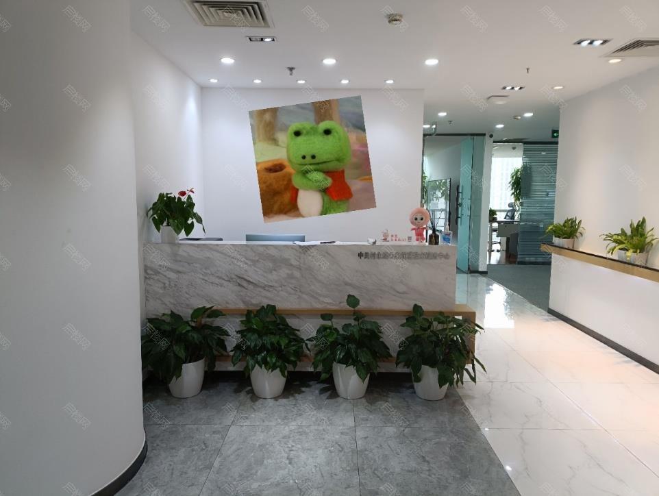 实拍图