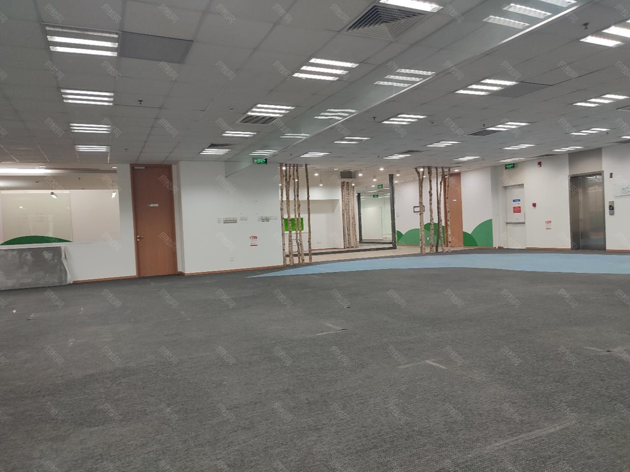 实拍图