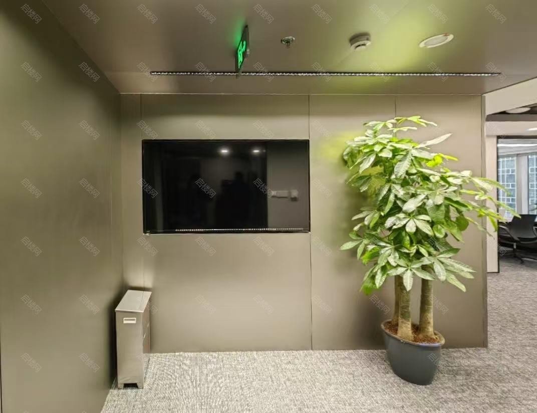 实拍图