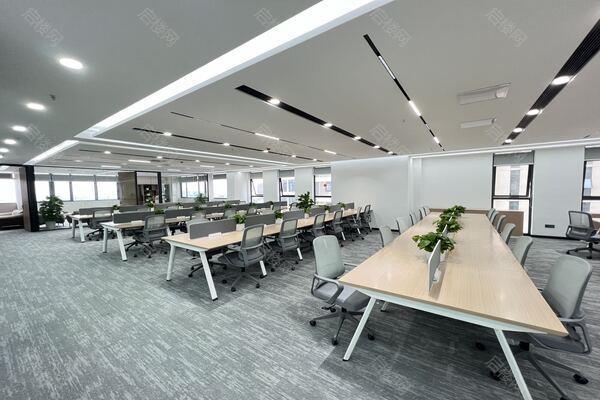 鼎创国际出租房图片