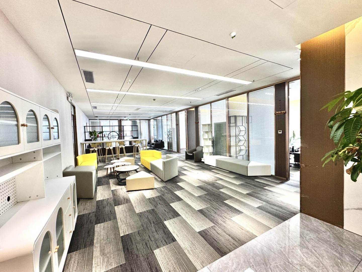 蔡屋围金龙大厦