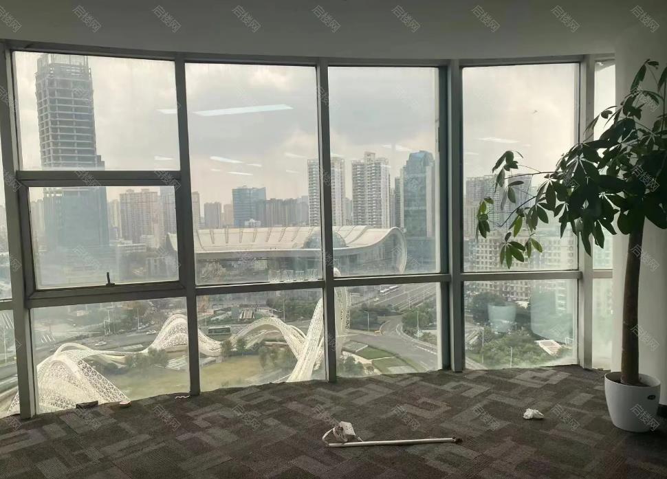 实拍图