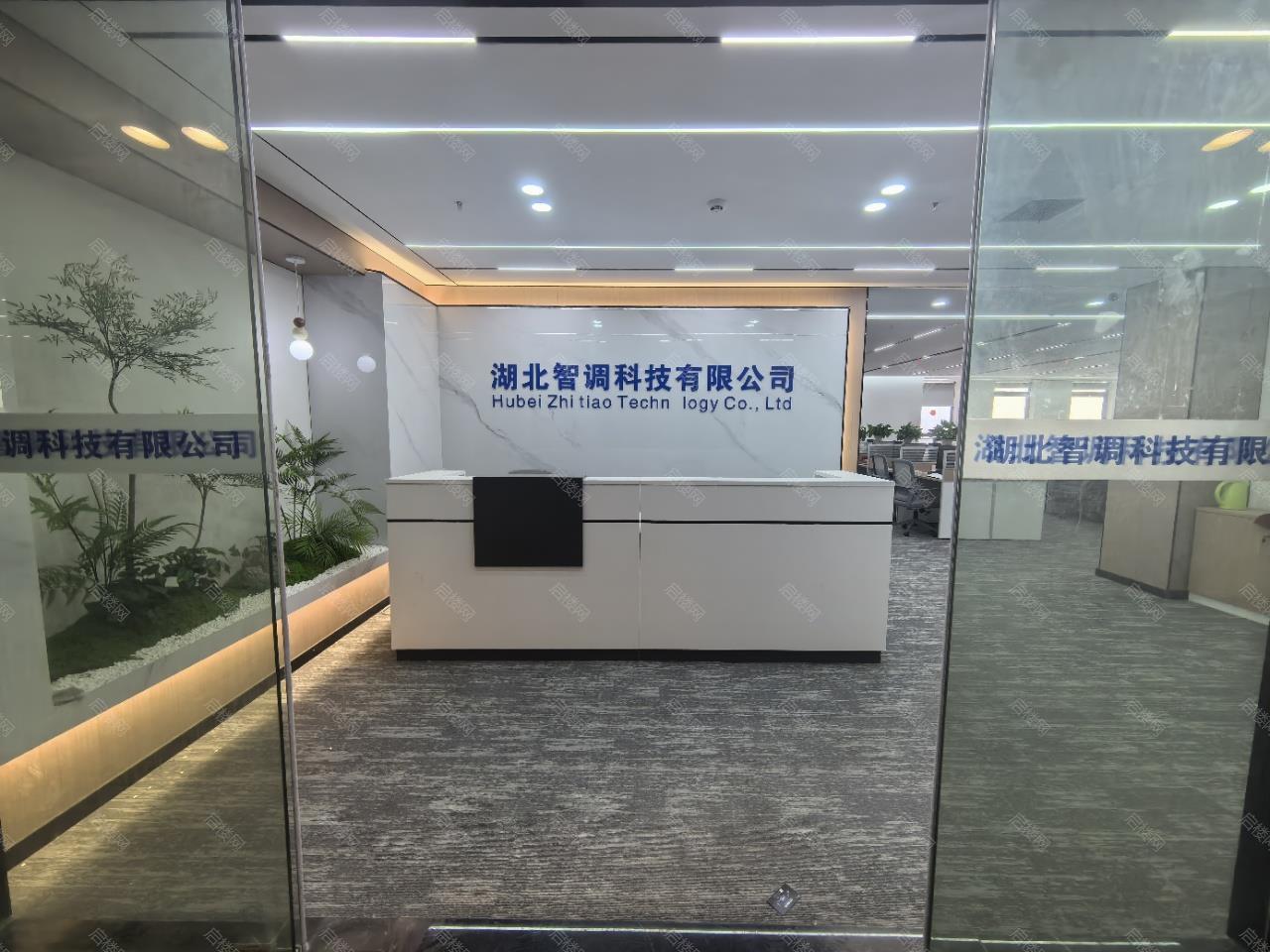 实拍图