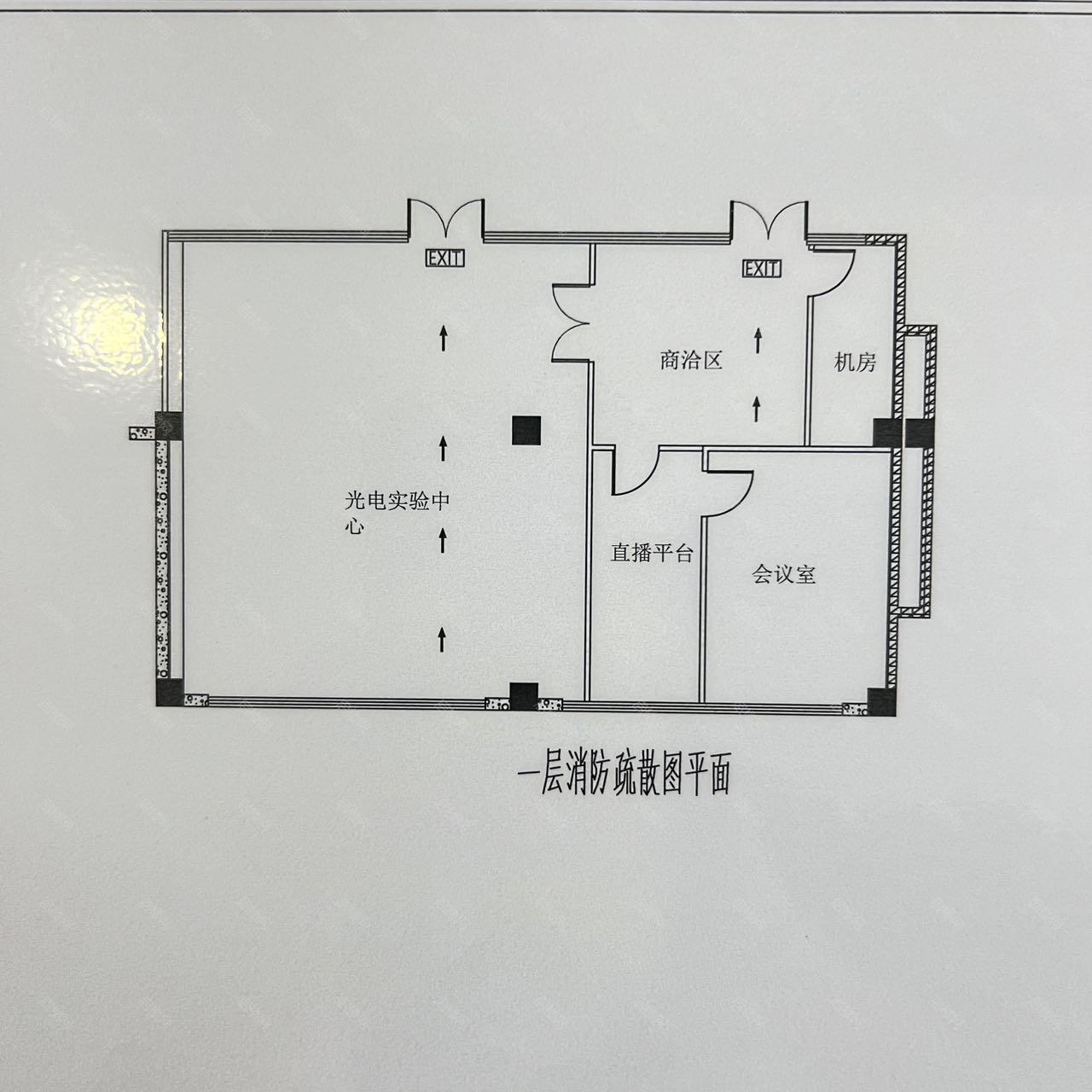 实拍图
