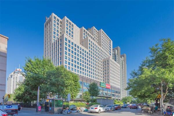 金成建国5号